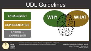 Universal Design for Learning Part 2 UDL Guidelines [upl. by Cully]