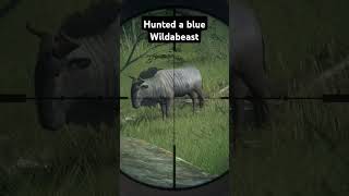 Hunted a wildabeast callofthewildgameplay [upl. by Blayne712]