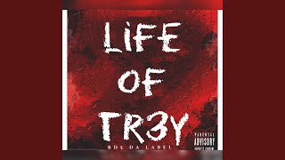 Life Of Tr3y [upl. by Hplodur]