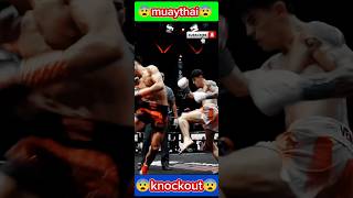 how to spinning back kick muaythai fight backkick muaythay martialarts sports edit fyp shorts [upl. by Bria]