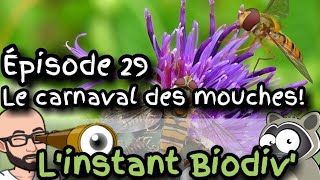 Ep29 Le carnaval des mouches [upl. by Olrac]