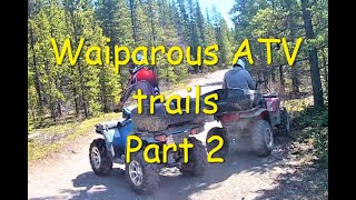 Waiparous Crown Land  ATV trails Waiparous Valley Road [upl. by Anahpos]