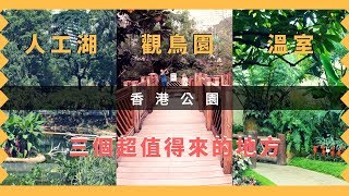 【香港好去處】香港公園．3個超值得去的地方．觀鳥園．溫室．人工湖｜Visiting Hong Kong Park [upl. by Chaffinch]