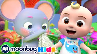 The Sneezing Song  CoComelon One Hour Sing Along  Learn ABC 123  Fun Cartoons  Moonbug Kids [upl. by Keisling]