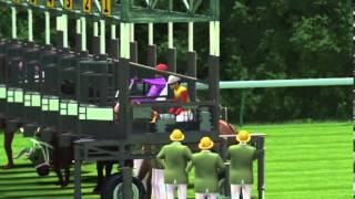 A Day at Japan’s Horse Races…Crazy… [upl. by Kcoj283]