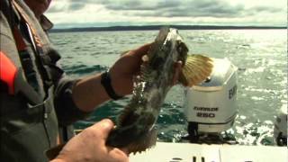 Western Sportfishing with Lee Horsley San Juan Islands [upl. by Rossner976]