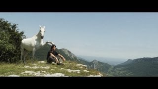 Gazelle un film de JeanFrançois Pignoncélèbre dresseur de chevaux bandeannoncetrailer [upl. by Nguyen964]