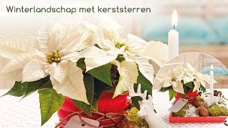 Decoratie idee voor bloemisten Winterlandschap met kerststerren [upl. by Allenrad319]