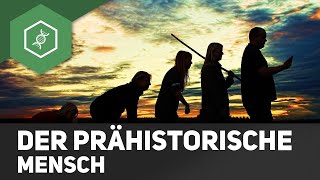 Evolution des Menschen  Prähistorischer Menschen [upl. by Salvadore]