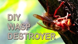 How To Get Rid Of Wasps [upl. by Ecinaej]