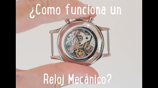 ¿Cómo Funciona un Reloj Mecánico [upl. by Aisyat]