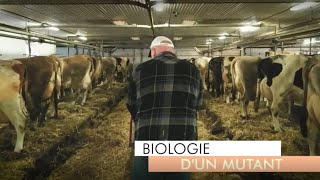 Découverte  Biologie dun mutant [upl. by Akere419]