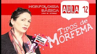 MORFOLOGIA BÁSICA AULA 12  TIPOS DE MORFEMA [upl. by Story703]