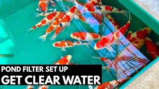 Koi Pond Filter Setup by Japanese Breeder  DIY [upl. by Allveta]