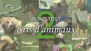 BLIND TEST  Cris danimaux n°2 [upl. by Ammej]