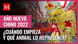 Año Nuevo Chino 2022 cuándo empieza y qué animal lo representa [upl. by Mond945]