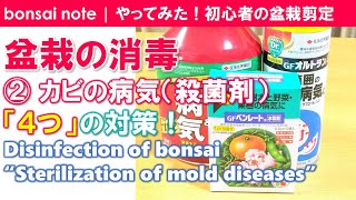 盆栽消毒②カビの病気（殺菌剤）4つの対策！ベンレート水和剤使ってみた｜Disinfection “Sterilization of mold diseases”【盆栽／bonsai】 [upl. by Eda19]