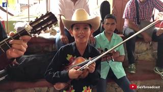 Así lo vivimos en San Joaquín 2019 con los Tríos Huastecos previo al Concurso del Violín [upl. by Stevens495]