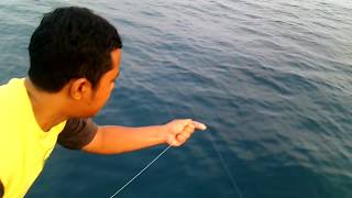 Handline fishing almost like pro [upl. by Brouwer]