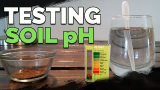 How to Test and Measure Your Soil pH at Home [upl. by Harihs]