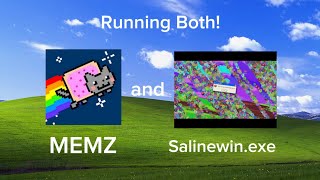 Running MEMZ and Salinewinexe virus both [upl. by Etteloc698]