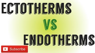 Ectotherms Vs EndothermsDifference between Ectotherms and endotherms [upl. by Rosanna]