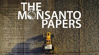 The Monsanto Papers Official Trailer Could Roundup cause cancer [upl. by Suivart178]