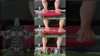 quotTop Forearm Workouts for Stronger Arms 💪  Quick amp Effective Exercisesquot [upl. by Reerg]