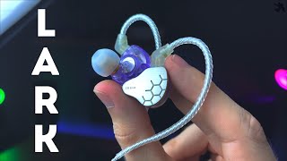 KBear Lark Dual Driver IEM Review  30 Budget Fancy [upl. by Yenitirb713]