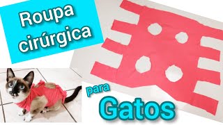 COMO FAZER ROUPA CIRÚRGICA PARA GATOS 🐈Mel 7 meses HADASSADIAS [upl. by Ttocs962]