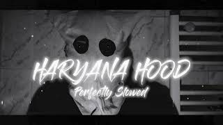 Haryana Hood   Perfectly Slowed [upl. by Rothstein]