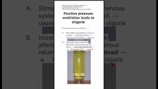 Positive pressure ventilation leads to oliguria [upl. by Ilime]