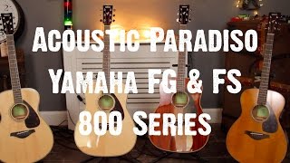 Acoustic Paradiso  Yamaha 800 Series Guitars [upl. by Ennire]