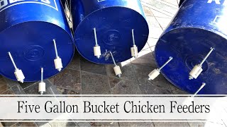 Making Five Gallon Bucket Chicken Feeders That Are RAT proof [upl. by Lorelei390]