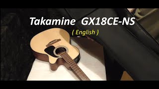 Takamine GX18CE NS [upl. by Schluter]