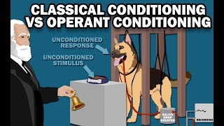 CLASSICAL VS OPERANT CONDITIONING [upl. by Shedd900]