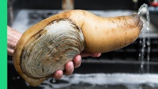 Exotic CHINESE FOOD Feast in Guangzhou 250 Snake Geoduck Sashimi and Sea Cucumber [upl. by Eidassac]