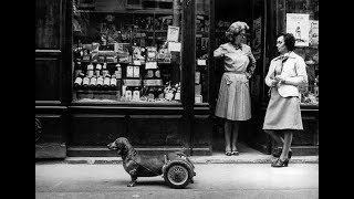 Robert Doisneau  Photographer Technique amp Process [upl. by Solberg428]