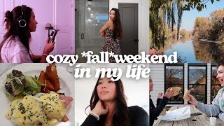 a very cozy fall vlog in November 🧸 recording new music brunch meetings and puppy play dates [upl. by Esilahs936]