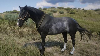 Red Dead Redemption 2  Black Rabicano Tennessee Walker [upl. by Liw740]