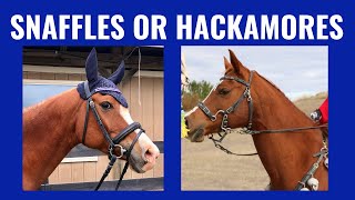 How To Choose The Right Bit For Your Horse  Snaffles And Hackamores [upl. by Ayekin]