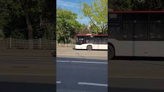 Moers Linie 52 nach Krefeld vrr bus [upl. by Gridley792]