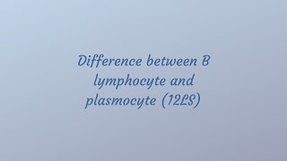 The difference between B lymphocyte and plasmocyte [upl. by Llewxam777]