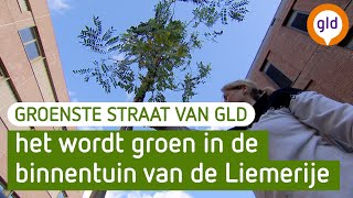 De Groenste Straat van Gelderland  De Liemerije in Zevenaar [upl. by Lenz]