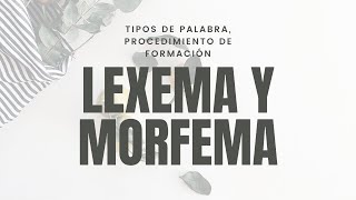 Análisis morfológico tipo de palabra procedimiento de formación examen Acceso a la Universidad 25 [upl. by Arfihs]