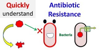 Antibiotic resistance [upl. by Idnaj]