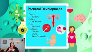 Prenatal Growth Intro Psychology Development 2 [upl. by Tham]