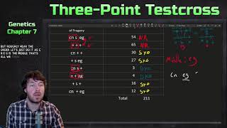 ThreePoint Testcross Example  Genetics [upl. by Ettari]