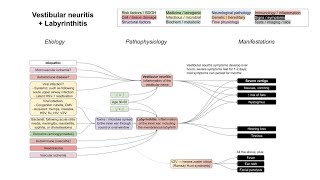 Vestibular neuritis  Labyrinthitis mechanism of disease [upl. by Morgana]