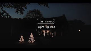 Light Up Tree  Lumineo [upl. by Bruno]